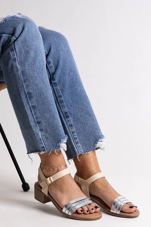 Sandalias de tacón bajo plateadas...