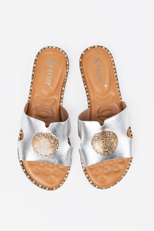 Zapatillas plata con adornos dorados