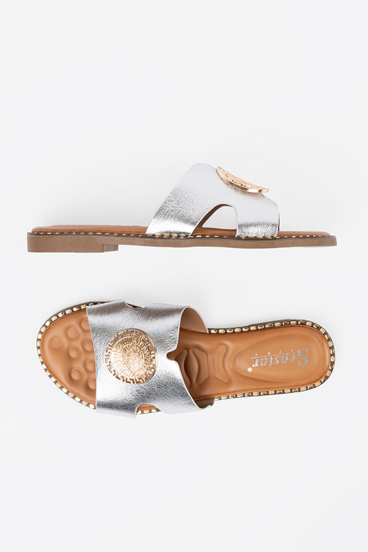 Zapatillas plata con adornos dorados