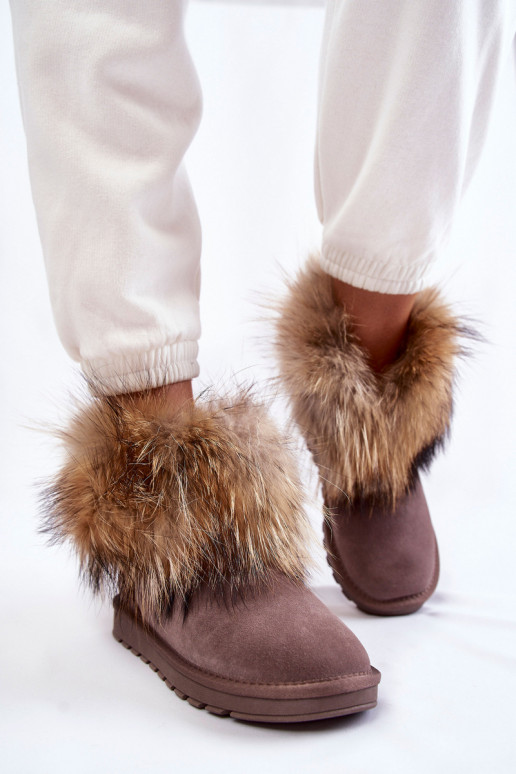 Femenino de gamuza Botas de nieve con un abrigo de piel color gris Alexa Femenino de gamuza Botas de nieve con un abrigo de piel color gris Alexa