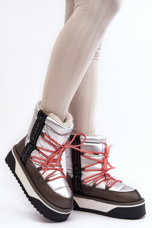 Botas de nieve Femenino Sobre una suela gruesa Vegano D.Franklin DFSH371006 color plata Botas de nieve Femenino Sobre una suela gruesa Vegano D.Franklin DFSH371006 color plata