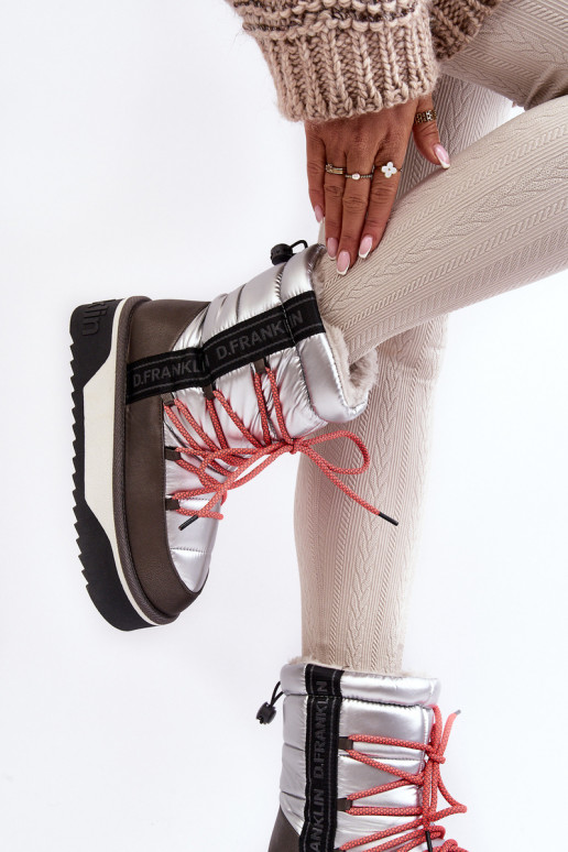 Botas de nieve Femenino Sobre una suela gruesa Vegano D.Franklin DFSH371006 color plata Botas de nieve Femenino Sobre una suela gruesa Vegano D.Franklin DFSH371006 color plata