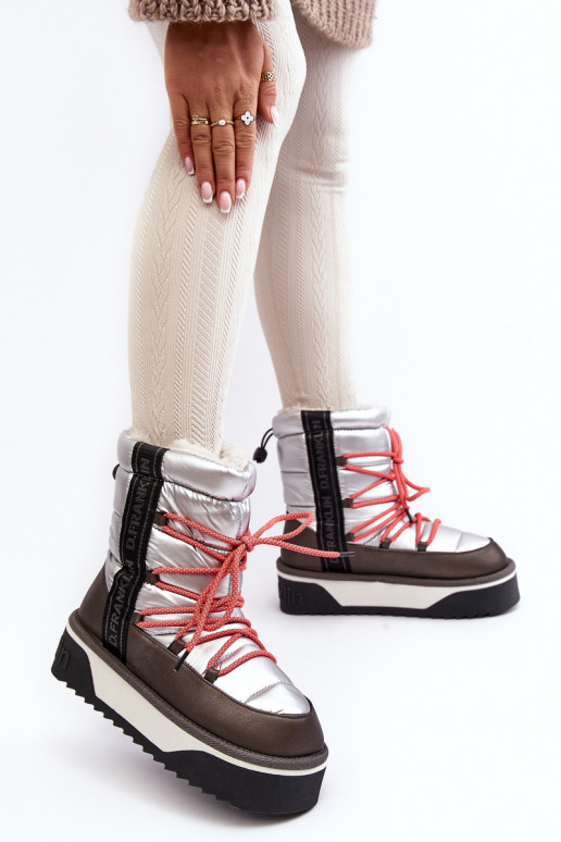 Botas de nieve Femenino Sobre una suela gruesa Vegano D.Franklin DFSH371006 color plata Botas de nieve Femenino Sobre una suela gruesa Vegano D.Franklin DFSH371006 color plata