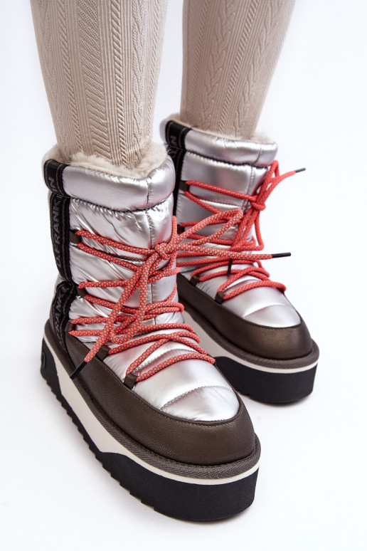 Botas de nieve Femenino Sobre una suela gruesa Vegano D.Franklin DFSH371006 color plata Botas de nieve Femenino Sobre una suela gruesa Vegano D.Franklin DFSH371006 color plata