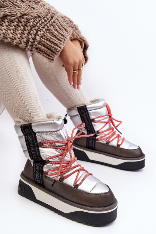 Botas de nieve Femenino Sobre una suela gruesa Vegano D.Franklin DFSH371006 color plata Botas de nieve Femenino Sobre una suela gruesa Vegano D.Franklin DFSH371006 color plata