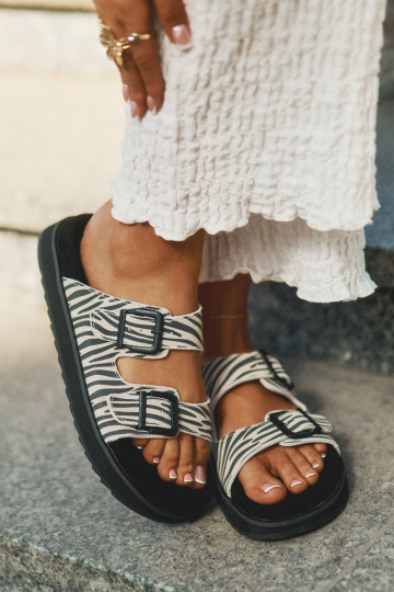 Zapatillas de ante para mujer. con hebillas D.Franklin DFSH405002 Zebra