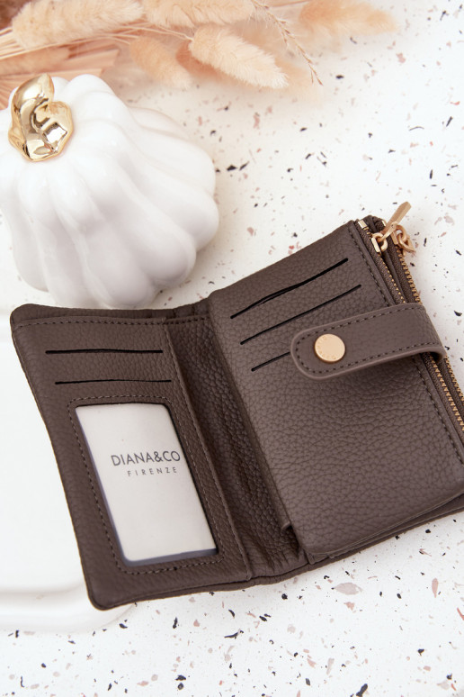 Cartera de mujer de cuero ecológico color gris Ilissea