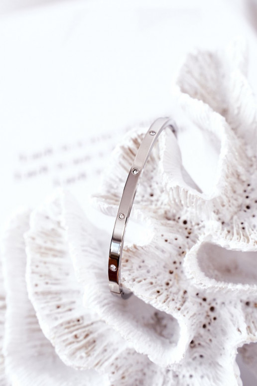 Pulsera de acero con ojos centelleantes color plata