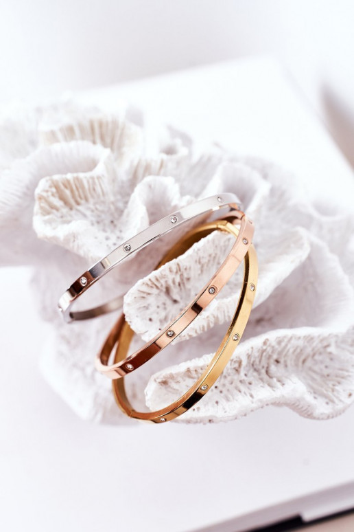 Pulsera de acero con ojos centelleantes color plata