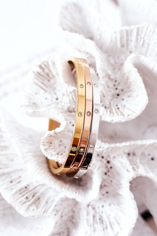 Pulsera de acero con ojos centelleantes color plata