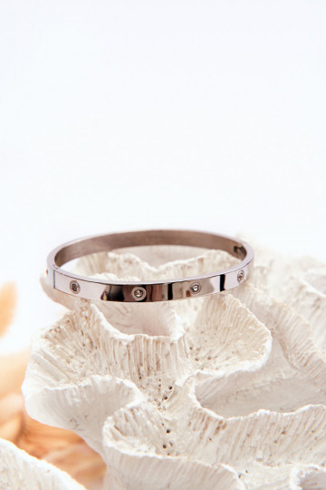 Pulsera de acero con ojos centelleantes color plata Lauren 2