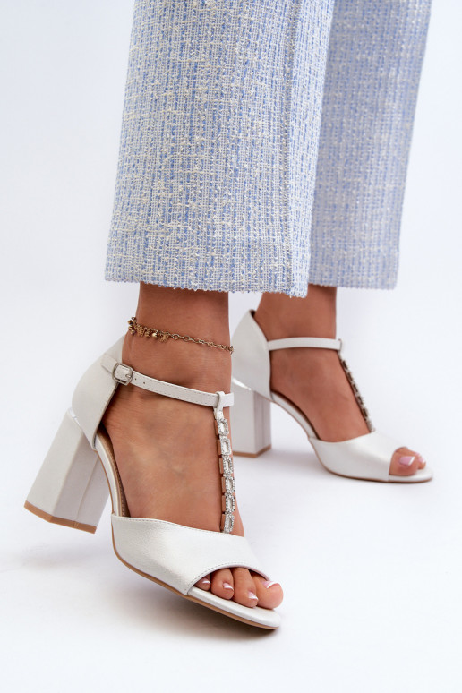 Elegantes tacones altos de ante con ojales brillantes en plata Aniya