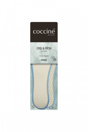 Plantillas de cocina Cool Fresh Suche Stopy