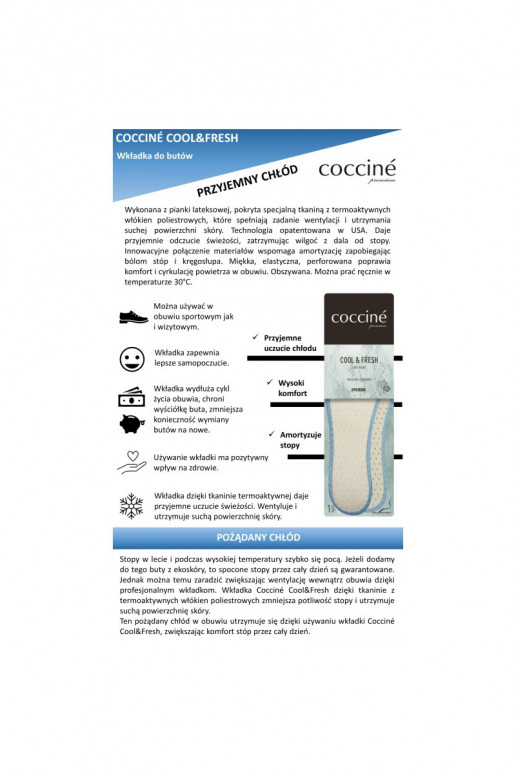Plantillas de cocina Cool Fresh Suche Stopy