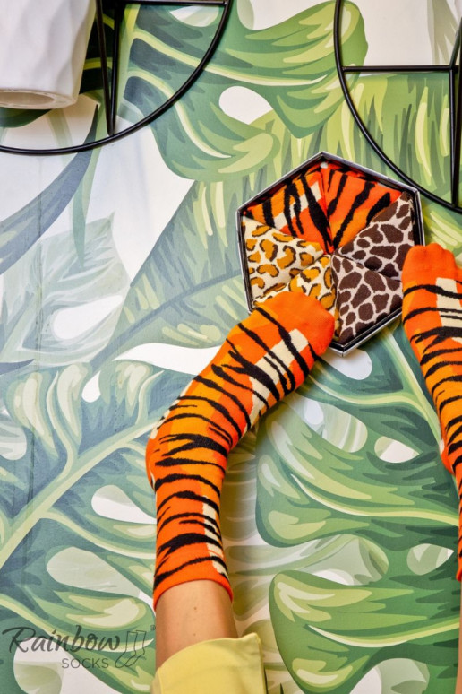 Calcetines de colores en caja con motivos de animales salvajes, 3 pares Calcetines de colores en caja con motivos de animales salvajes, 3 pares