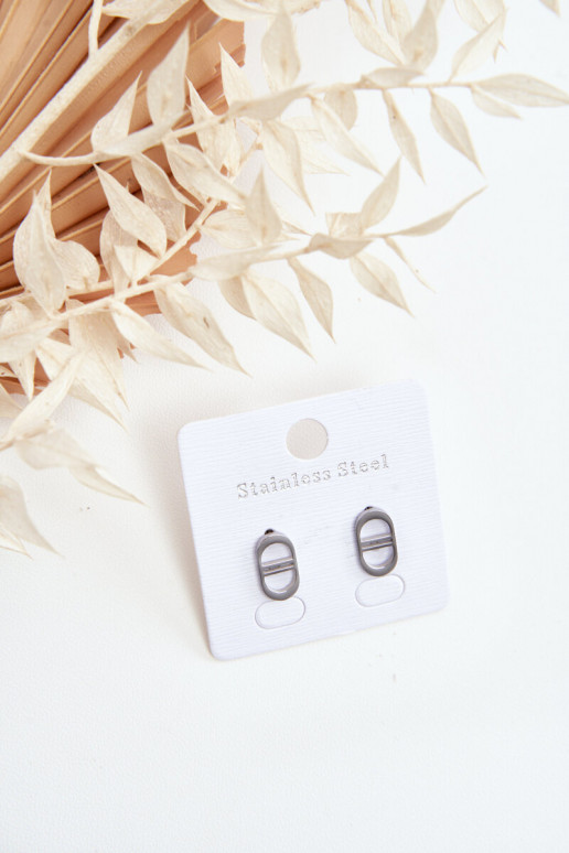 Pendientes ovalados en color plata.