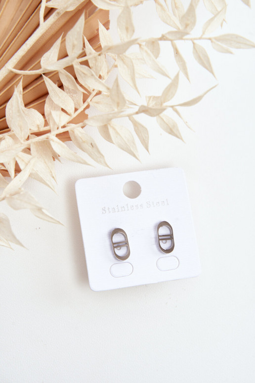 Pendientes ovalados en color plata.
