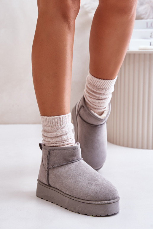 Botas de nieve Femenino con una plataforma calentamiento con pelo dentro color gris Xamella Botas de nieve Femenino con una plataforma calentamiento con pelo dentro color gris Xamella
