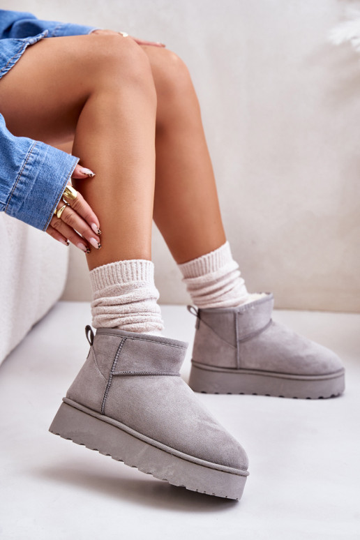 Botas de nieve Femenino con una plataforma calentamiento con pelo dentro color gris Xamella Botas de nieve Femenino con una plataforma calentamiento con pelo dentro color gris Xamella