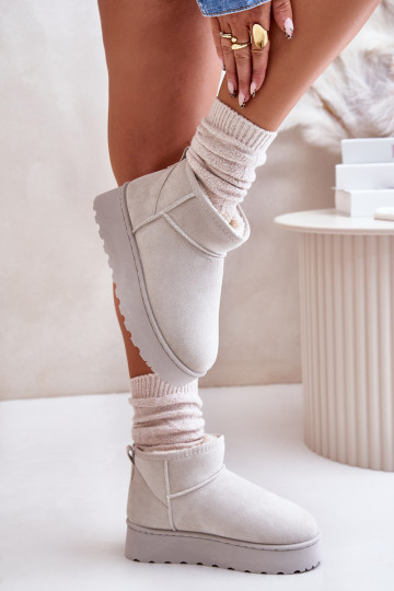 Botas de nieve Femenino con una plataforma calentamiento con pelo dentro color gris Xamella