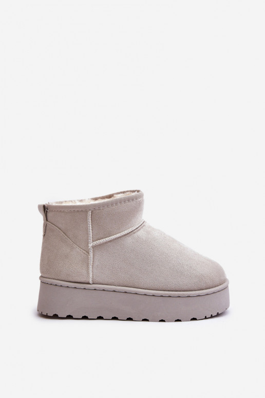 Botas de nieve Femenino con una plataforma calentamiento con pelo dentro color gris Xamella Botas de nieve Femenino con una plataforma calentamiento con pelo dentro color gris Xamella