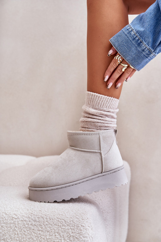 Botas de nieve Femenino con una plataforma calentamiento con pelo dentro color gris Xamella Botas de nieve Femenino con una plataforma calentamiento con pelo dentro color gris Xamella