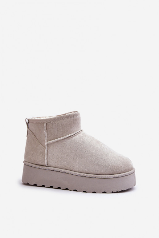 Botas de nieve Femenino con una plataforma calentamiento con pelo dentro color gris Xamella Botas de nieve Femenino con una plataforma calentamiento con pelo dentro color gris Xamella
